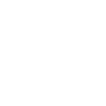 PSK x UFC Octagon Logo