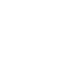 Octagon